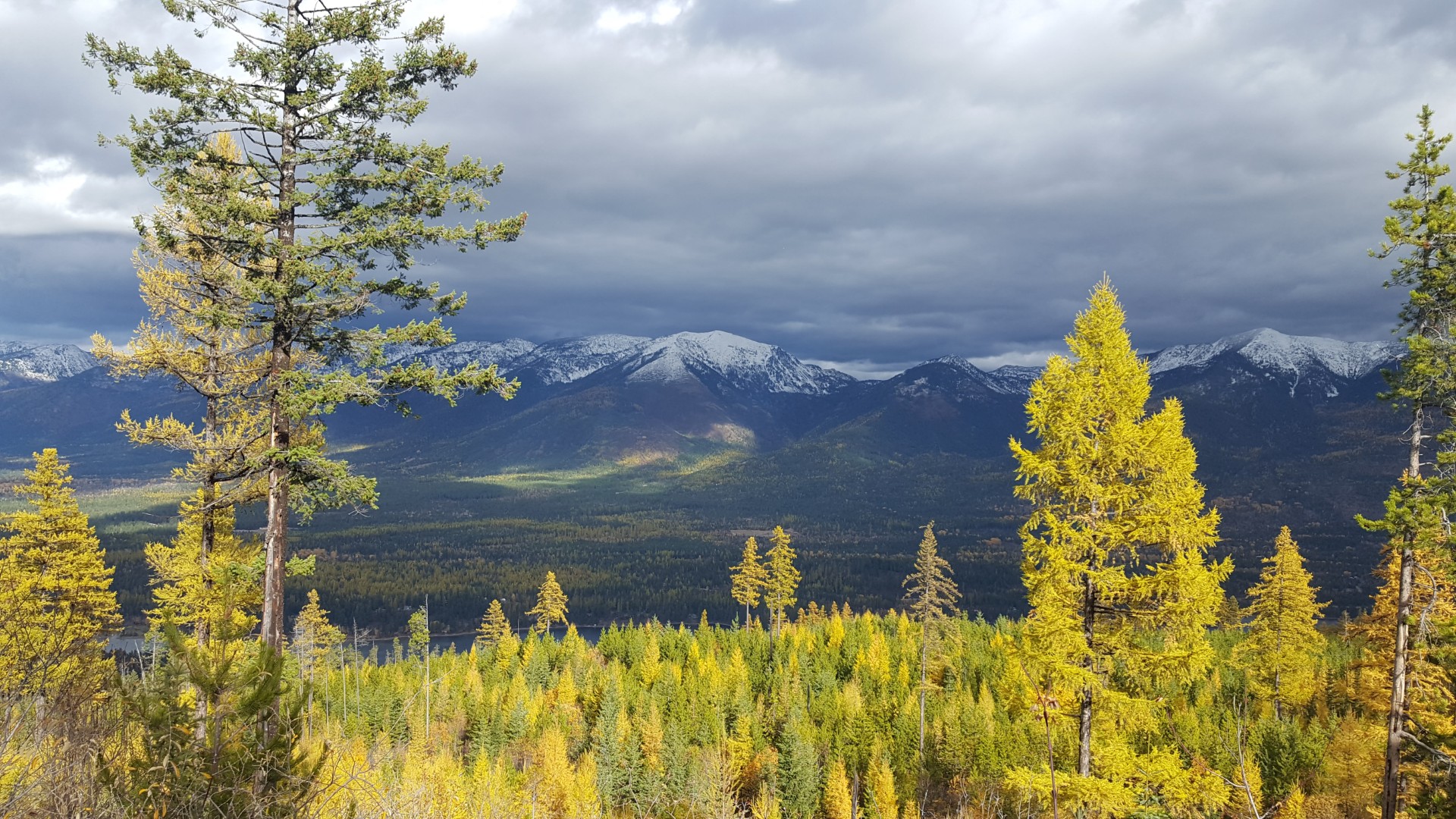 What is a Certificate of Deposit or Share Certificate?